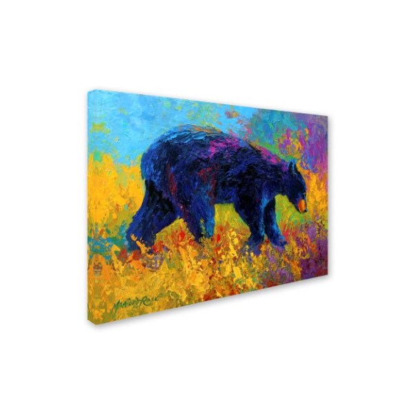 Marion Rose 'Young Restless II Black Bear Big' Canvas Art,18x24